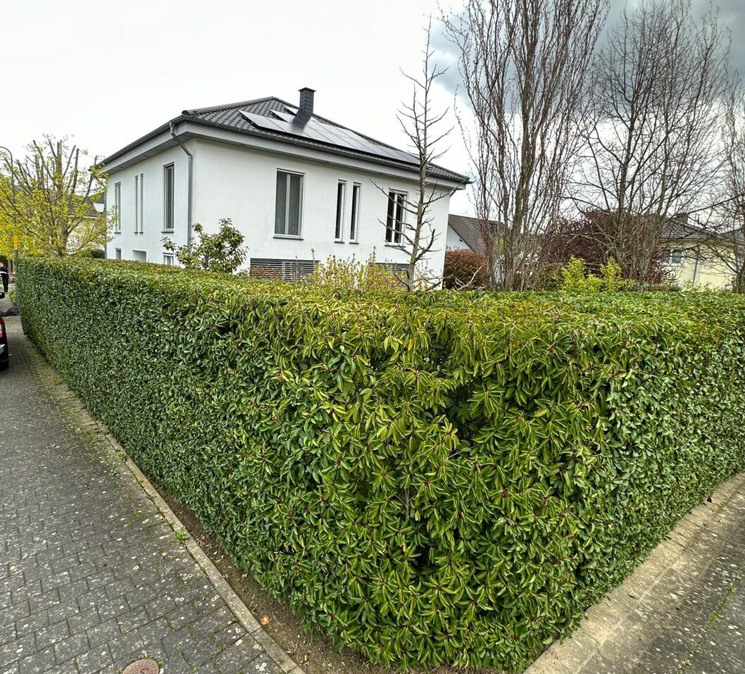 Hecke